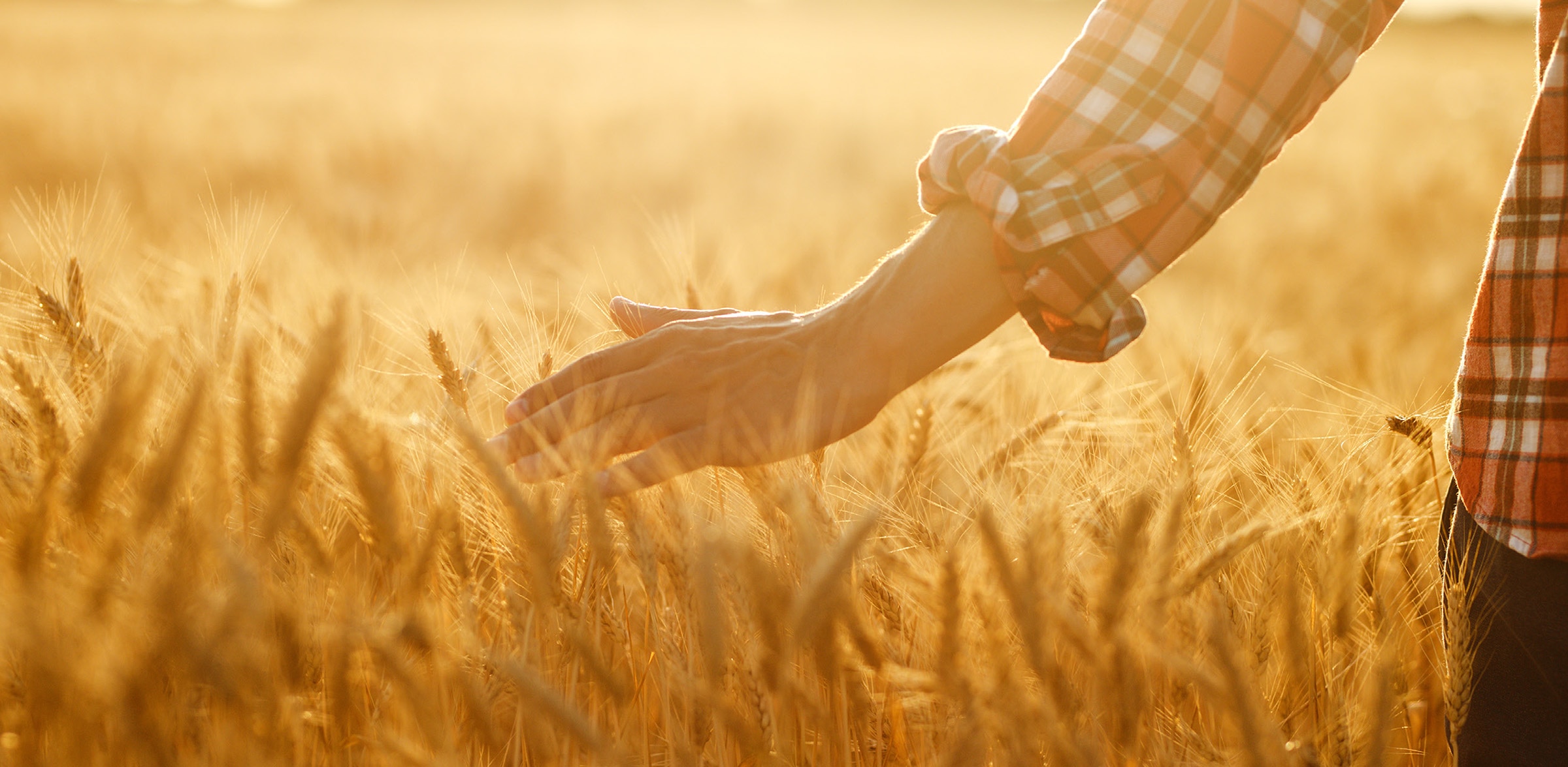 Grupo Bimbo protege su cadena de suministro global y conectada con Palo Alto Networks