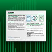 Cortex Cloud a simple vista