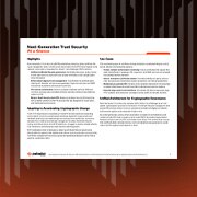 Resumen de NGTS de un vistazo